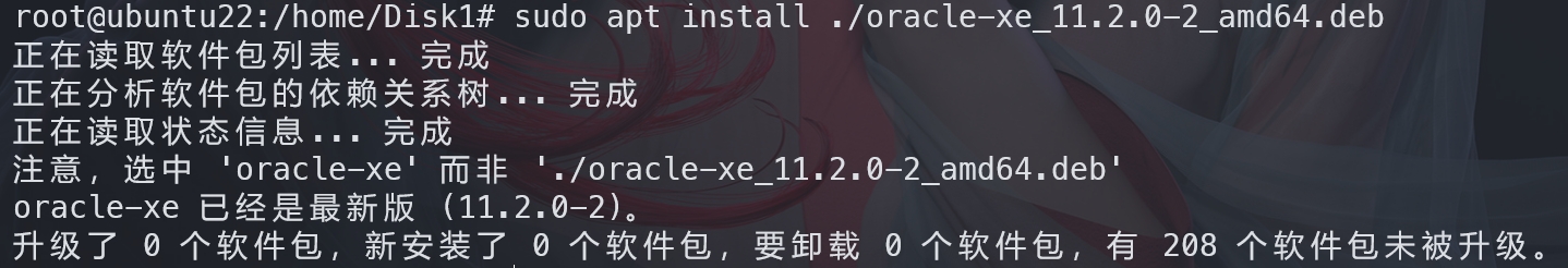 Oracle installation process