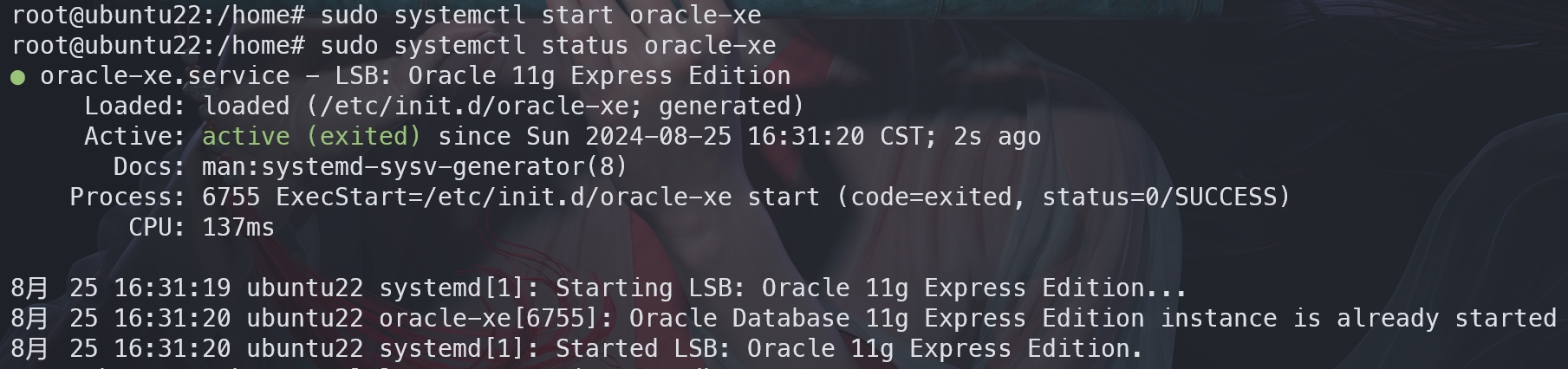 Oracle service status