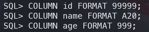 Formatted SQL*Plus output