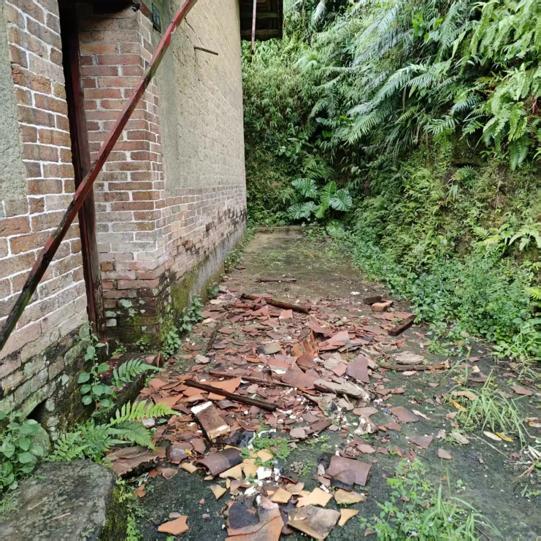 Broken tiles scattered on the ground