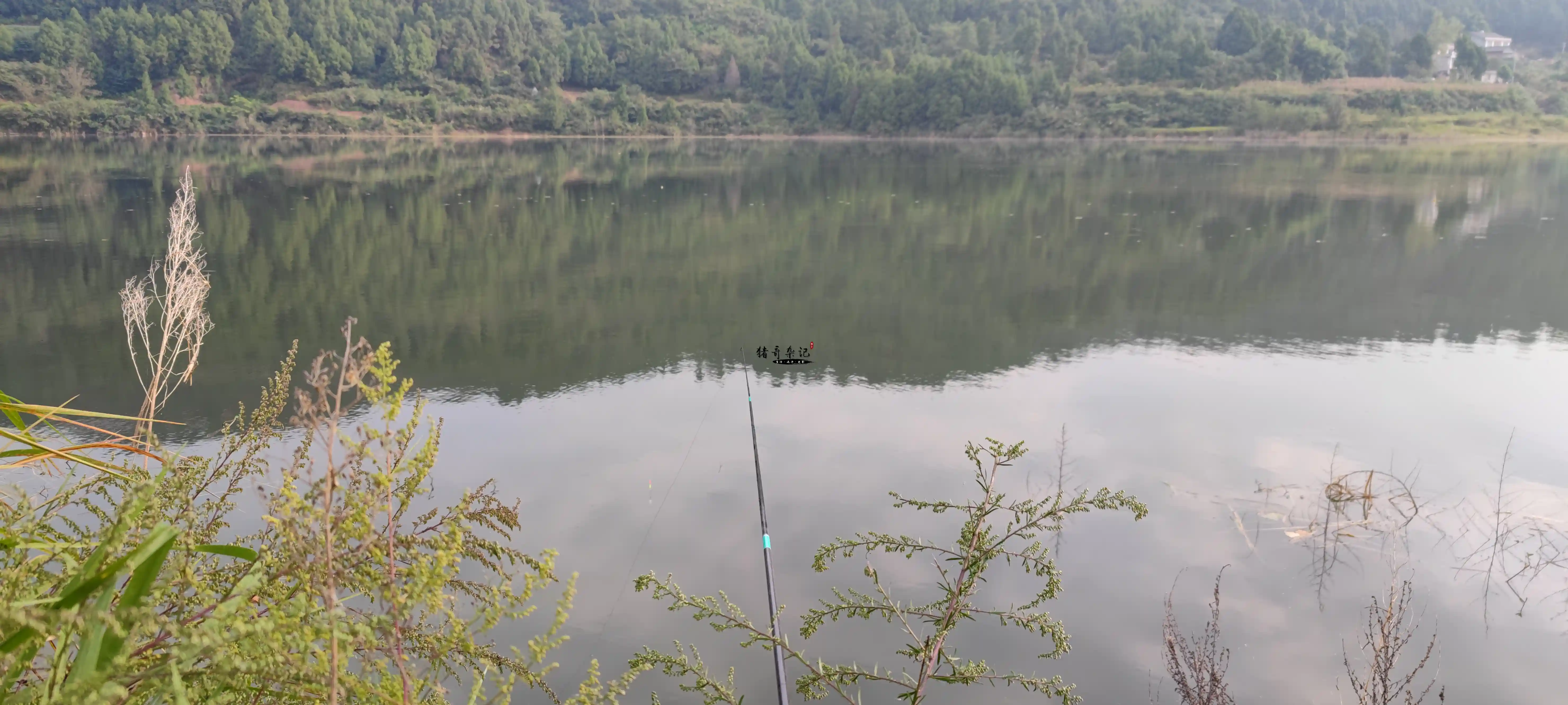 Morning catch area Morning catch area