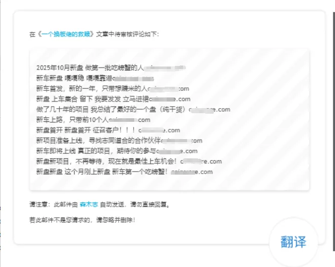 Spam comment screenshot