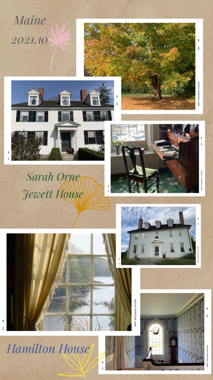 Maine houses