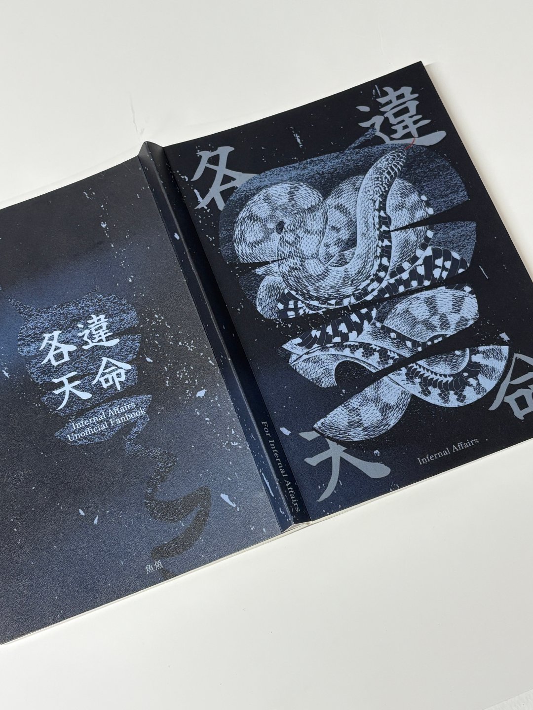 book sample